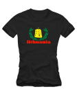 Lithuania gedimino bokštas